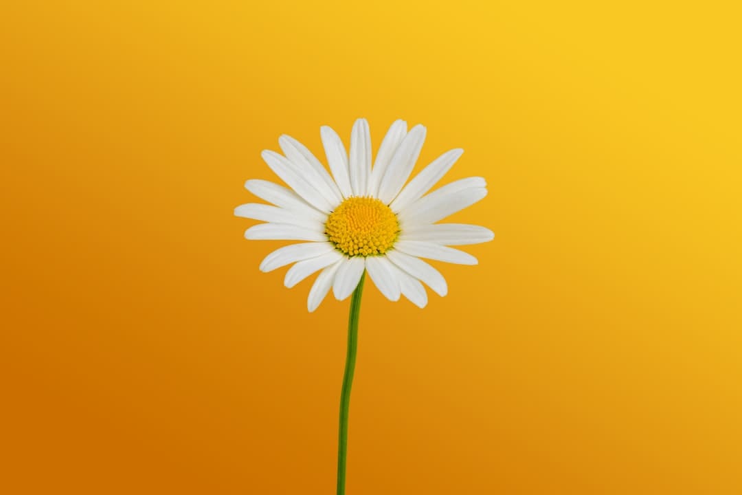 氧气罐能上飞机么
